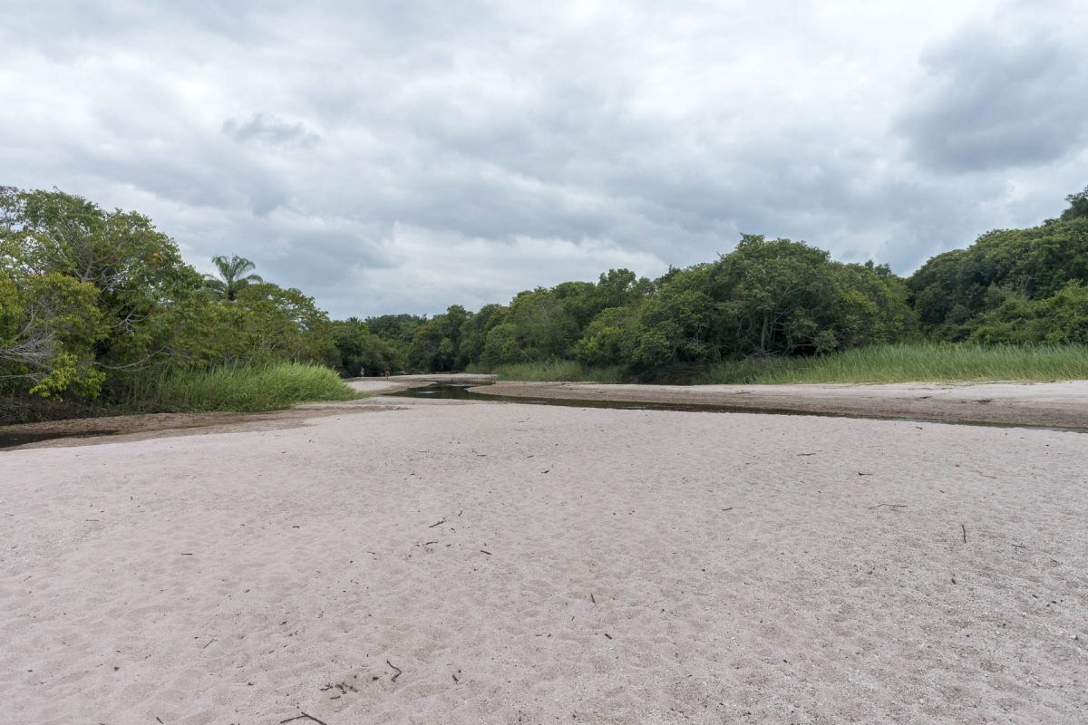 Pantanal-Marimbus-DSC_2053-b-kl