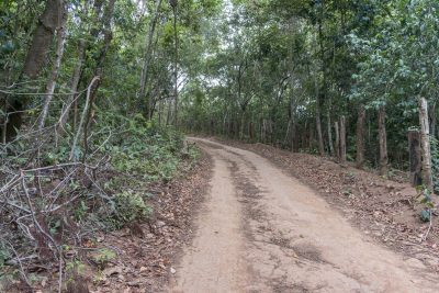 Pantanal-Marimbus-DSC_2057-b-kl