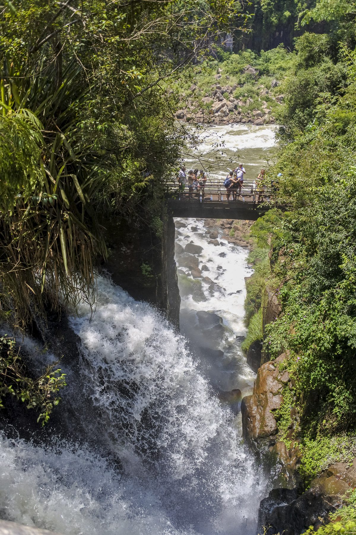 Wasserfall Nationalpark Iguazú