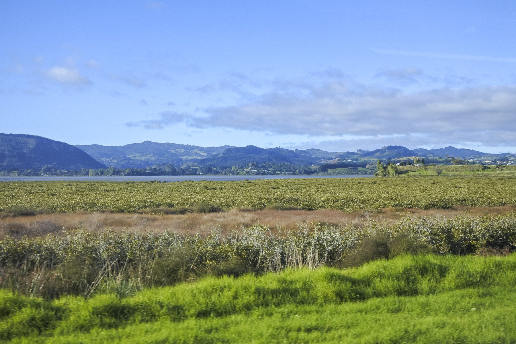 CathedralCove-DSC_5210-b-kl