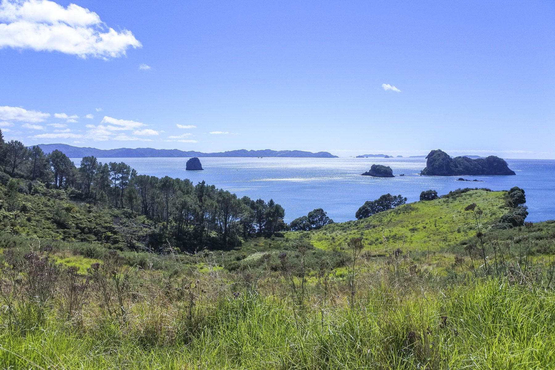 CathedralCove-DSC_5227-b-kl