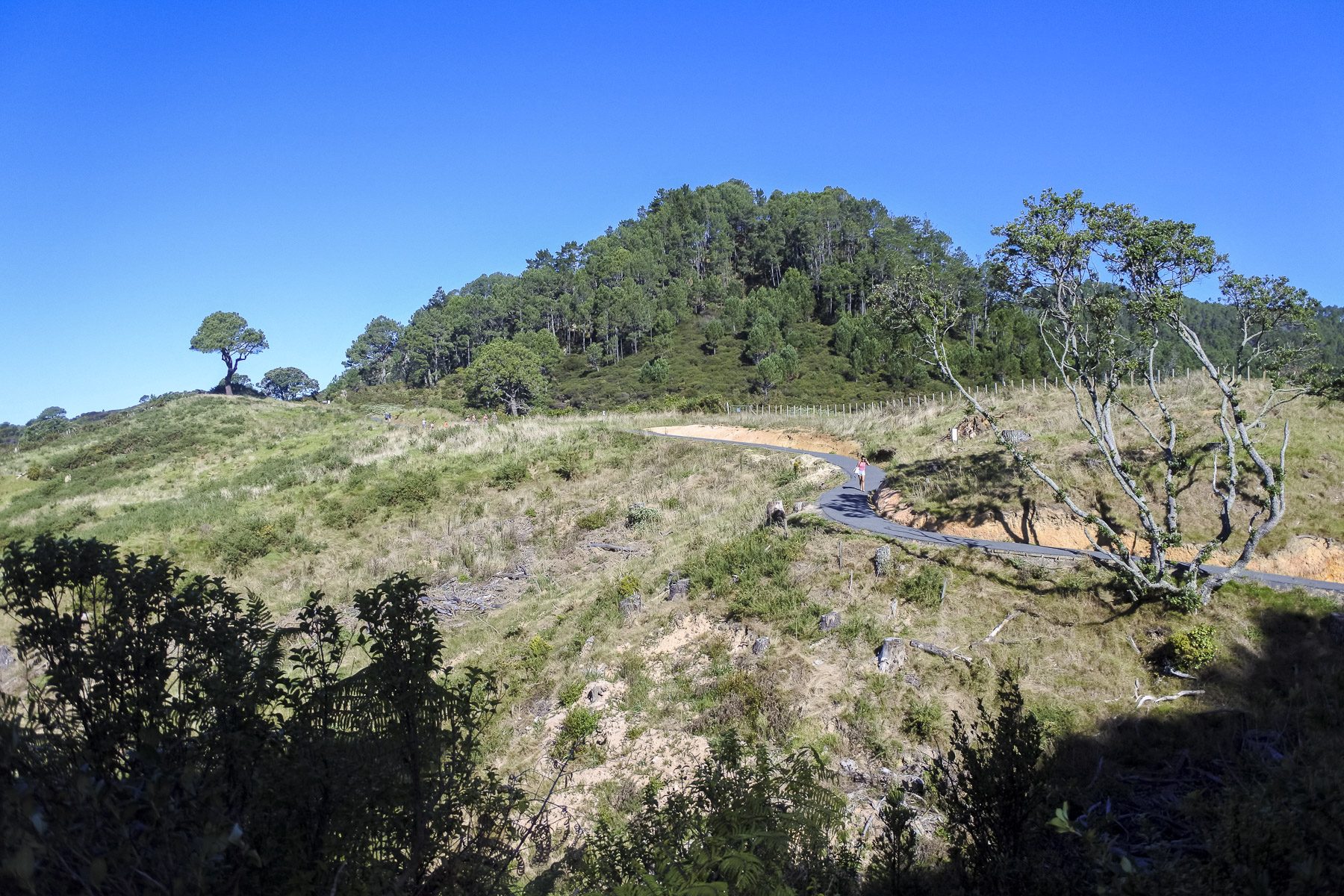 CathedralCove-DSC_5268-b-kl
