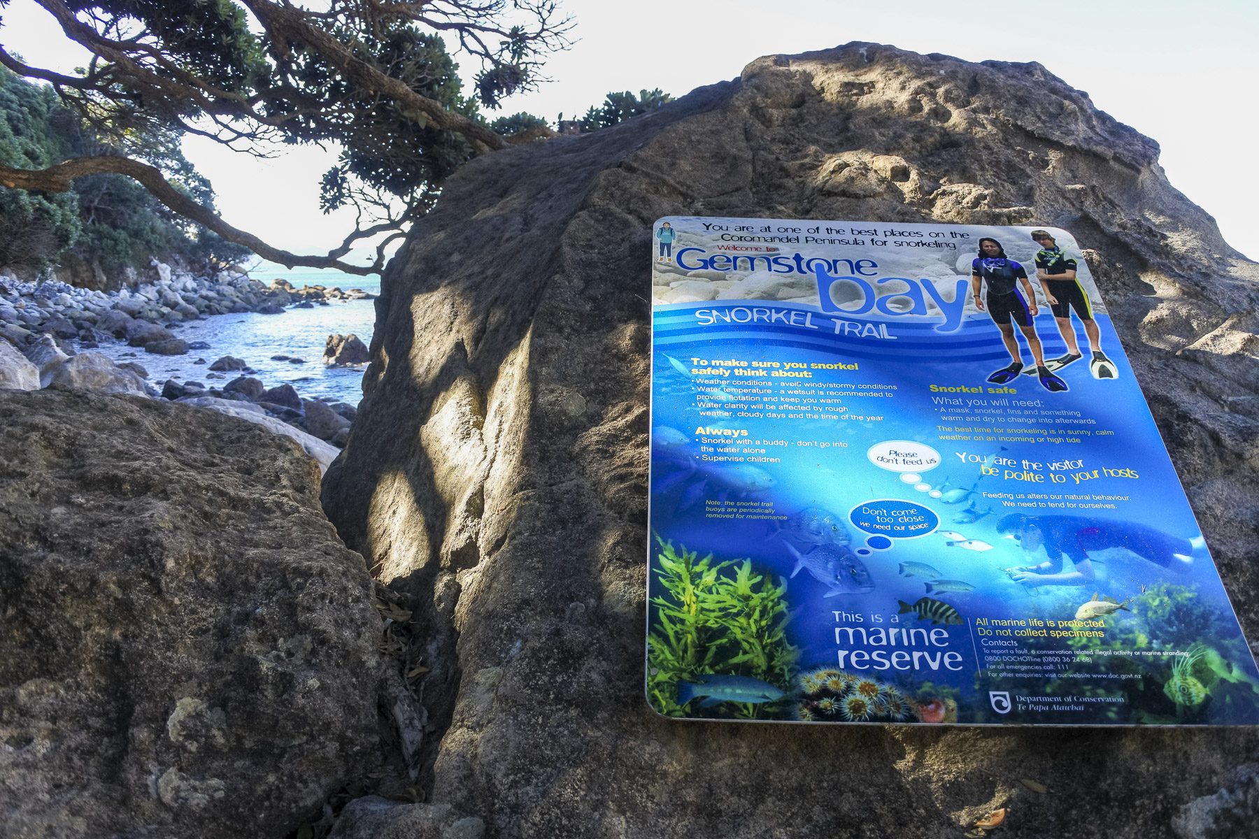 CathedralCove-DSC_5300-b-kl