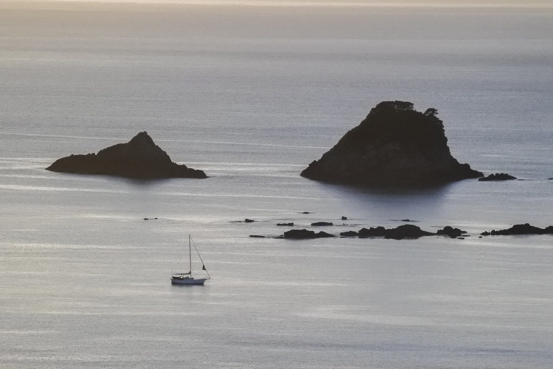 Coromandel-DSC_5333-b-kl