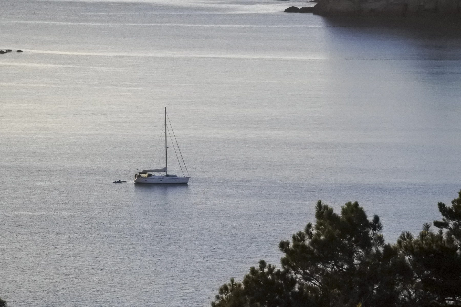 Coromandel-DSC_5334-b-kl