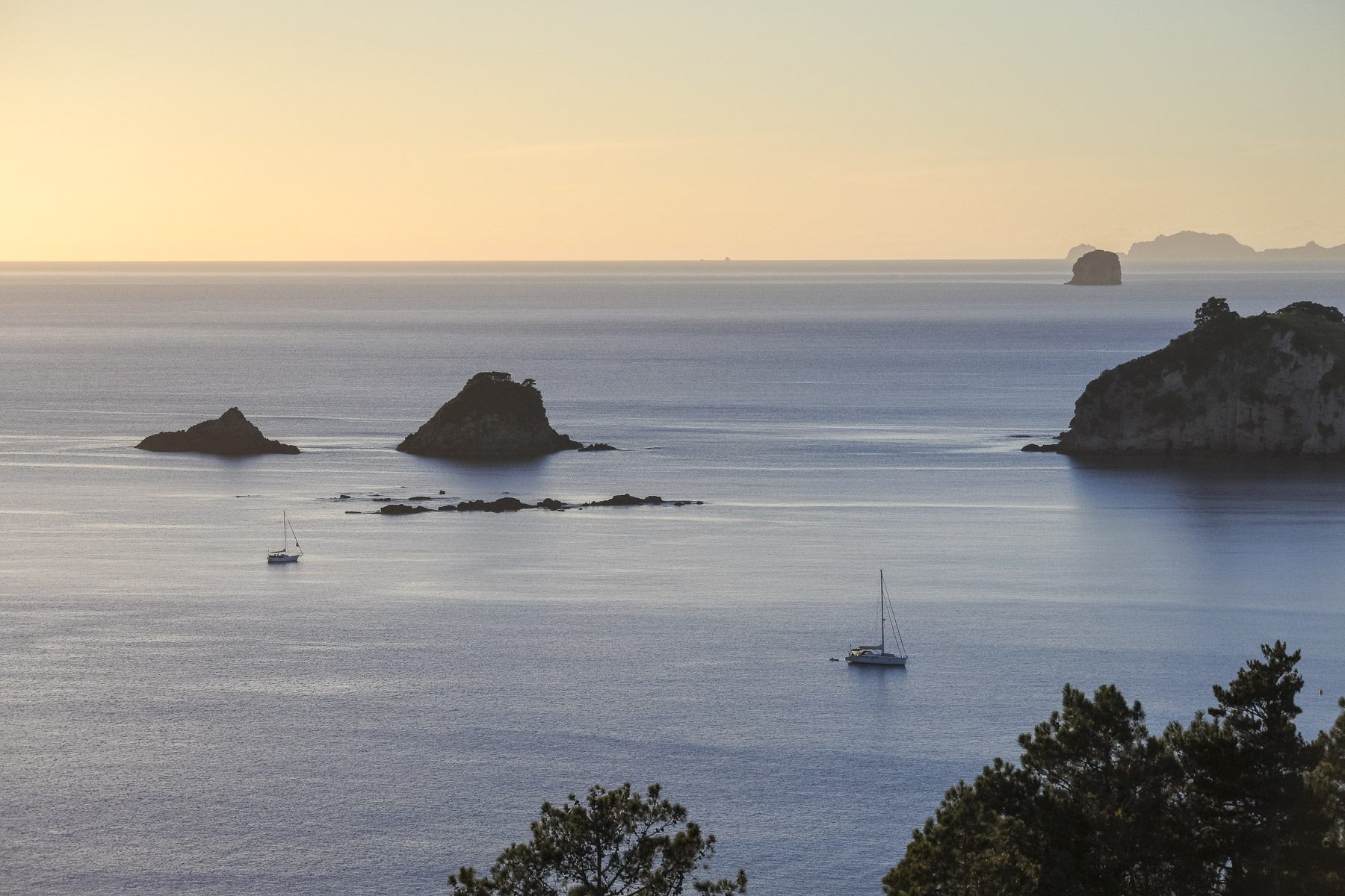 Coromandel-DSC_5341-b-kl