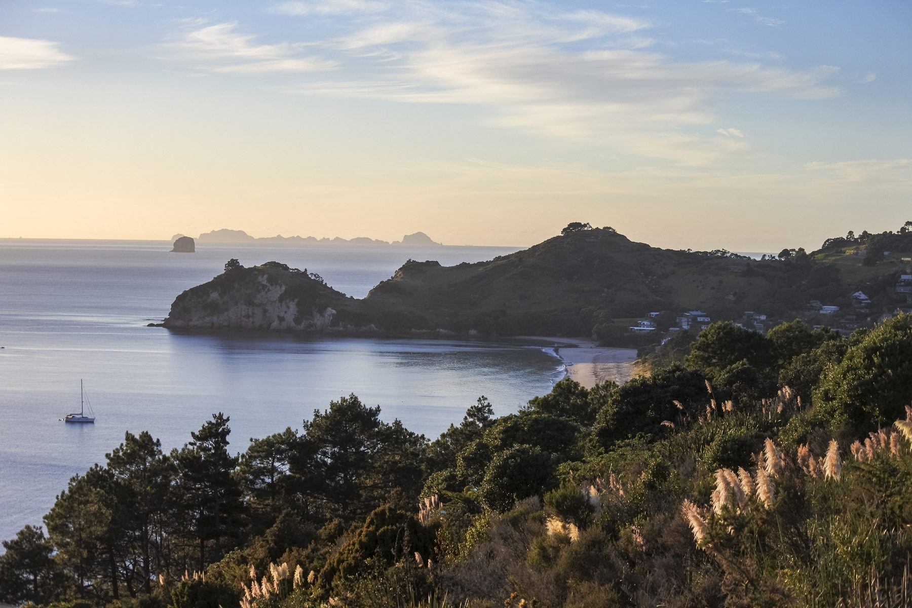 Coromandel-DSC_5342-b-kl