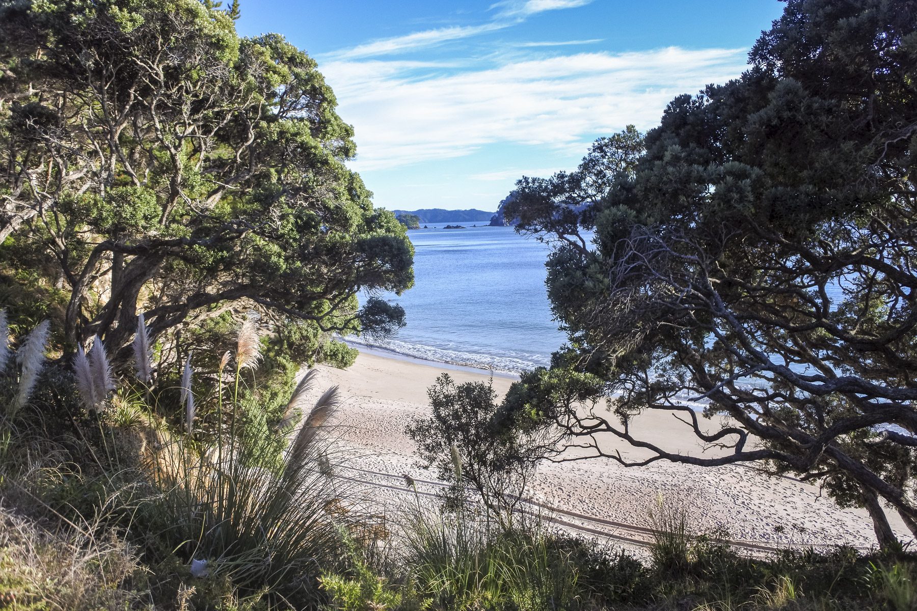 Coromandel-DSC_5345-b-kl