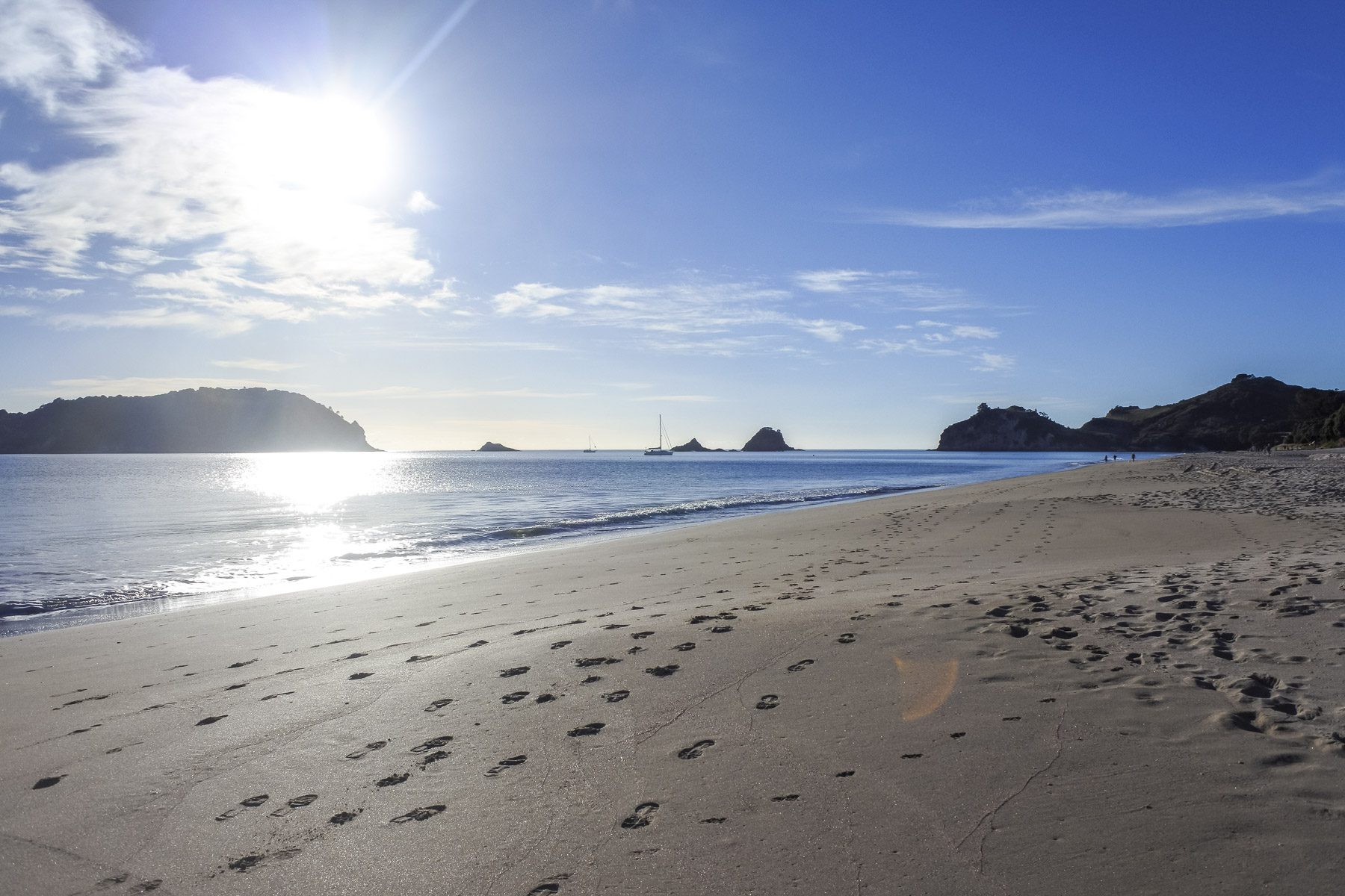 Coromandel-DSC_5347-b-kl