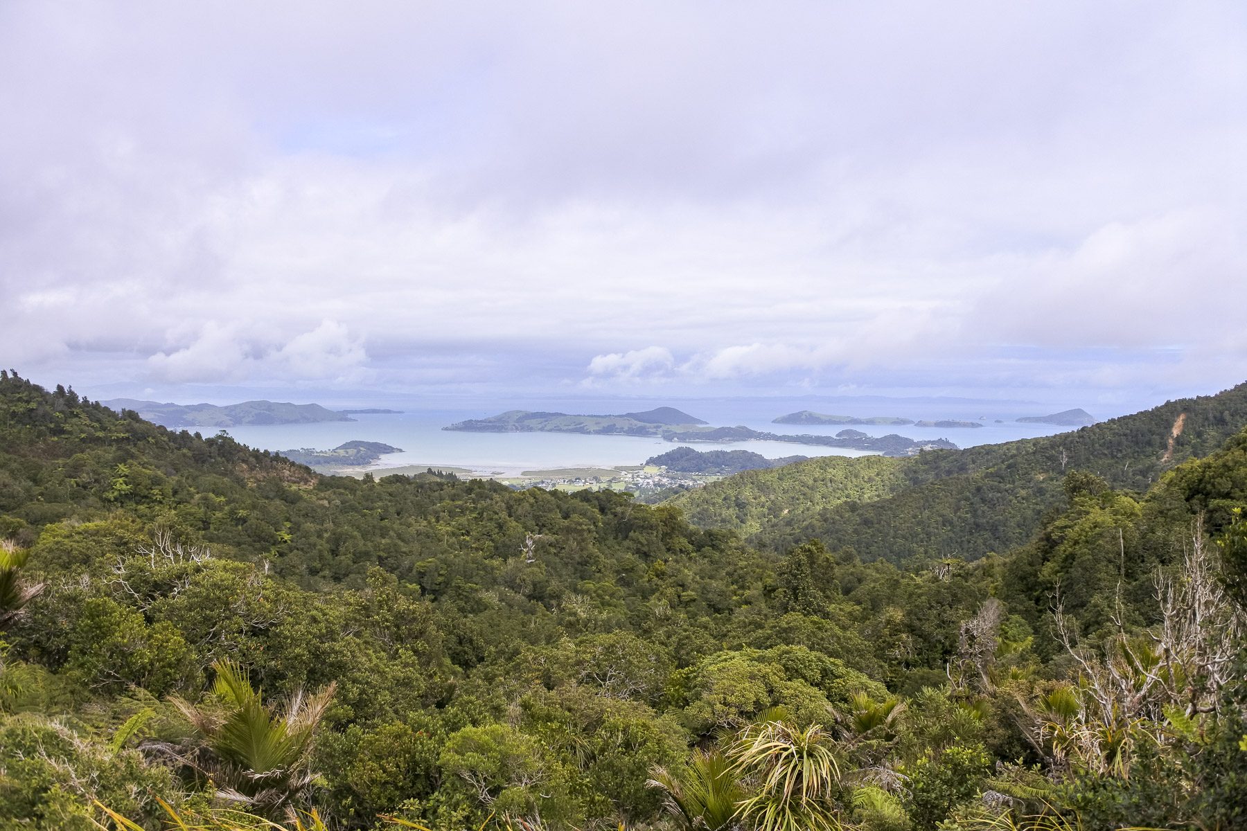 Coromandel-DSC_5384-b-kl