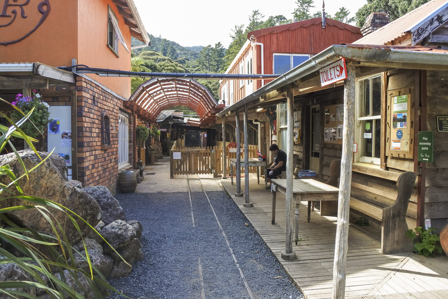 Coromandel-DSC_5386-b-kl