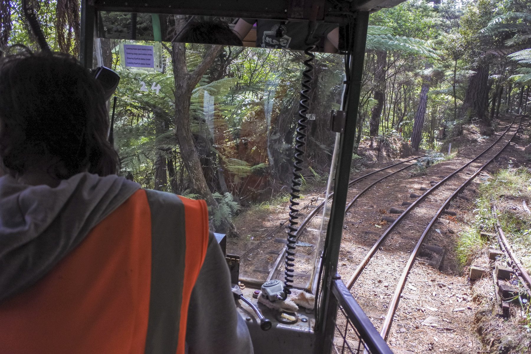 Coromandel-DSC_5400-b-kl