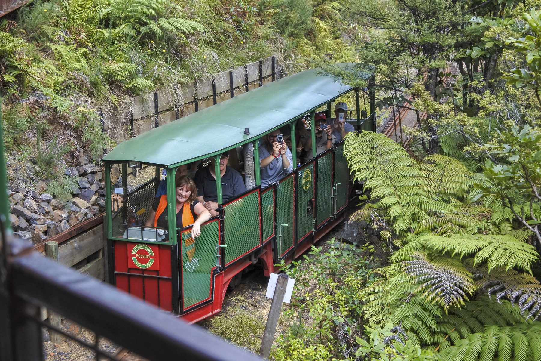 Coromandel-DSC_5406-b-kl