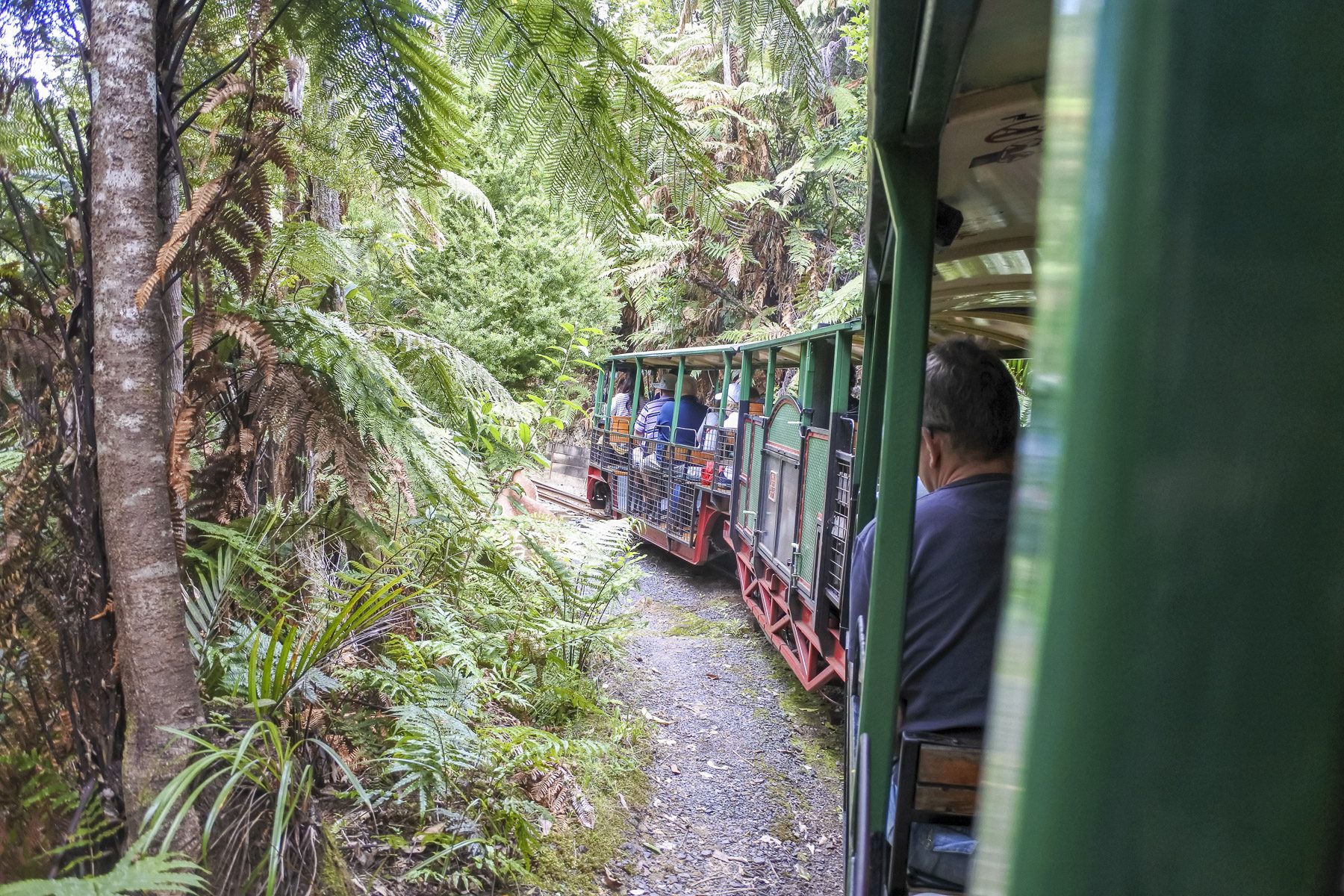 Coromandel-DSC_5409-b-kl