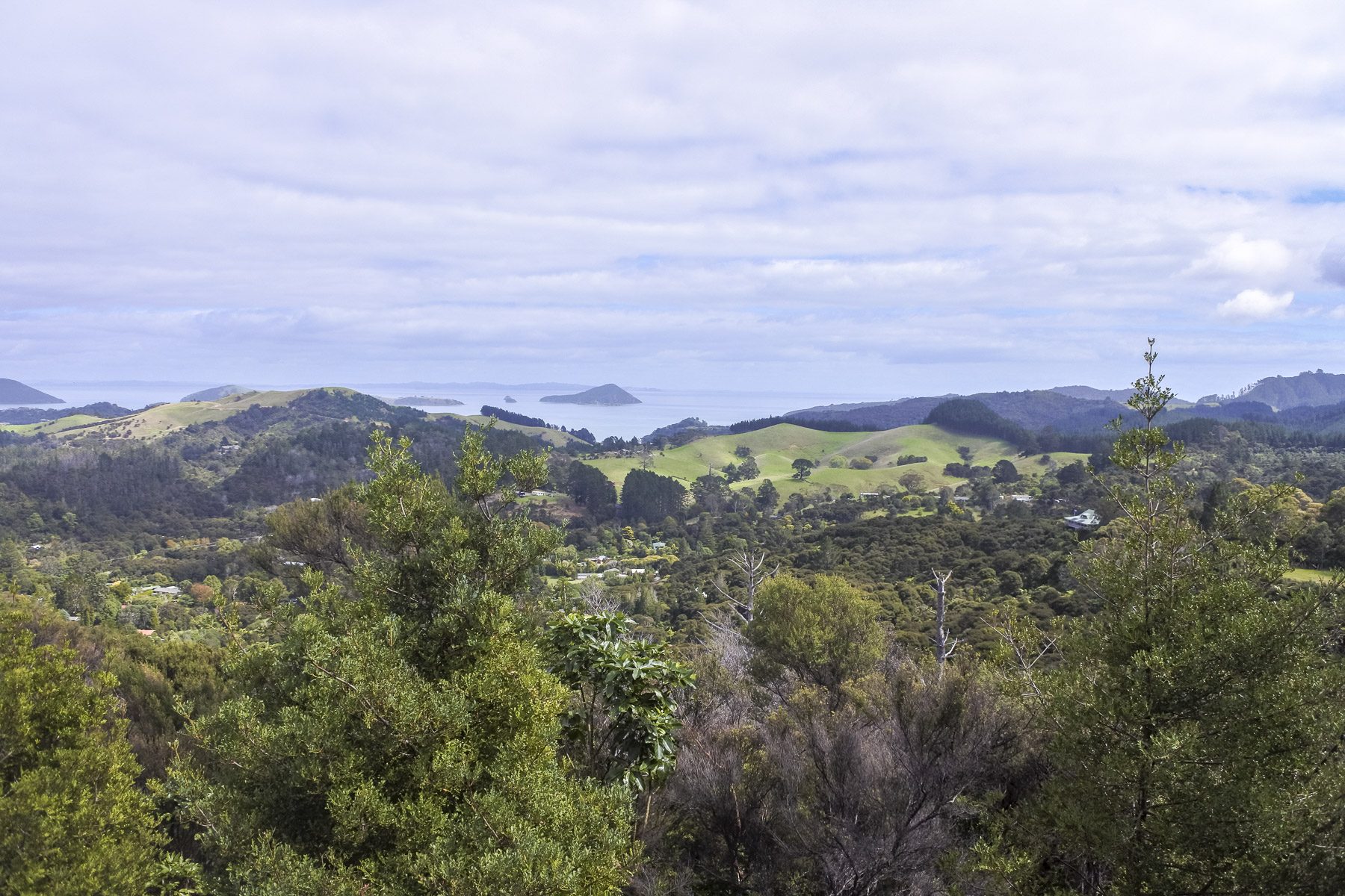 Coromandel-DSC_5422-b-kl