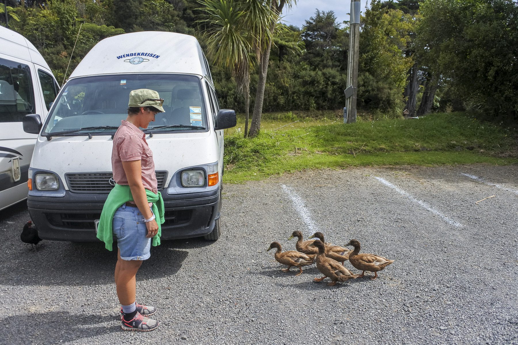 Coromandel-DSC_5450-b-kl