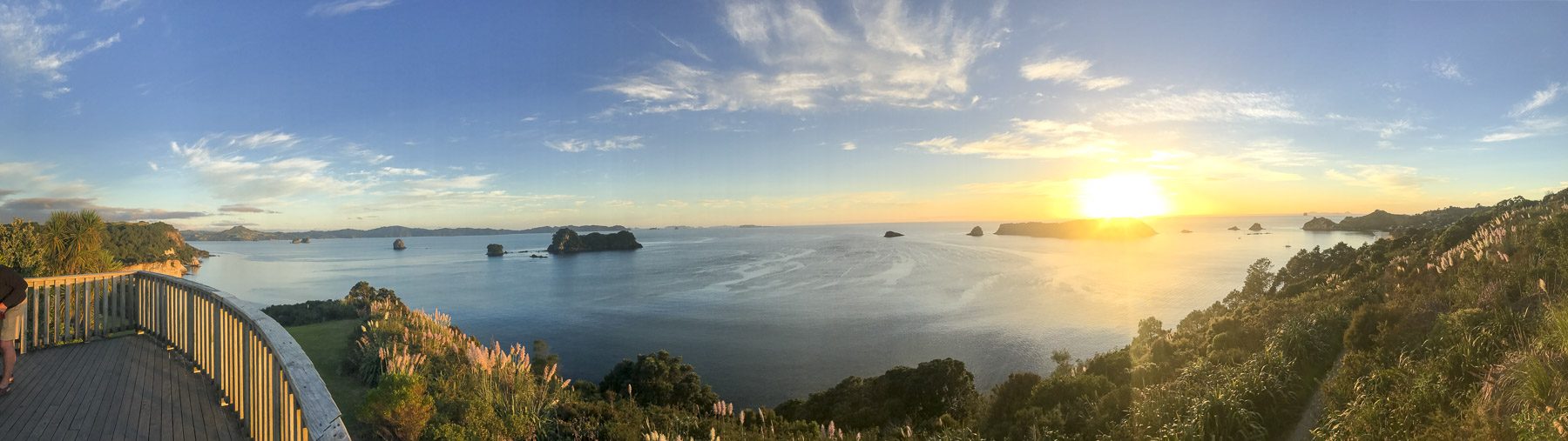 Coromandel-IMG_4506-b-kl