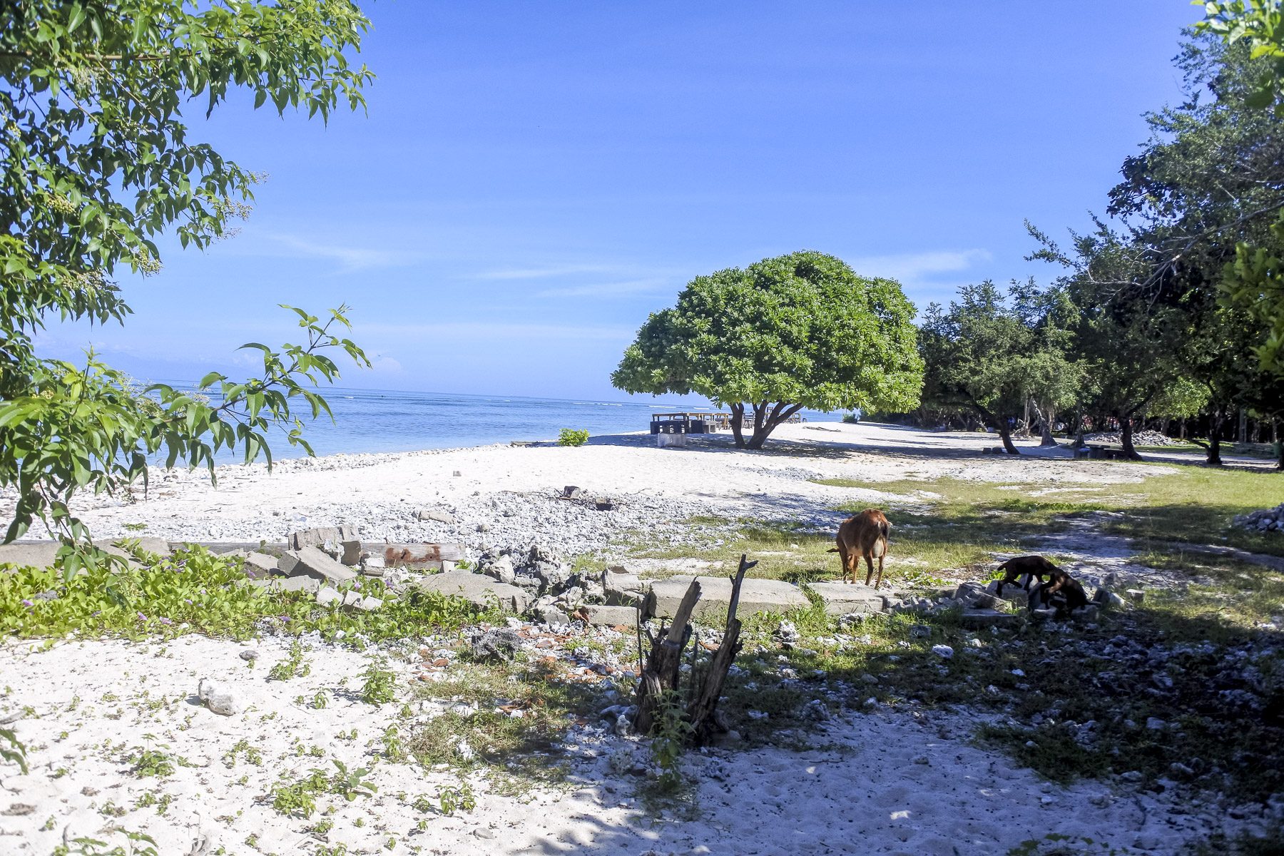 Gili-DSC_7936-b-kl