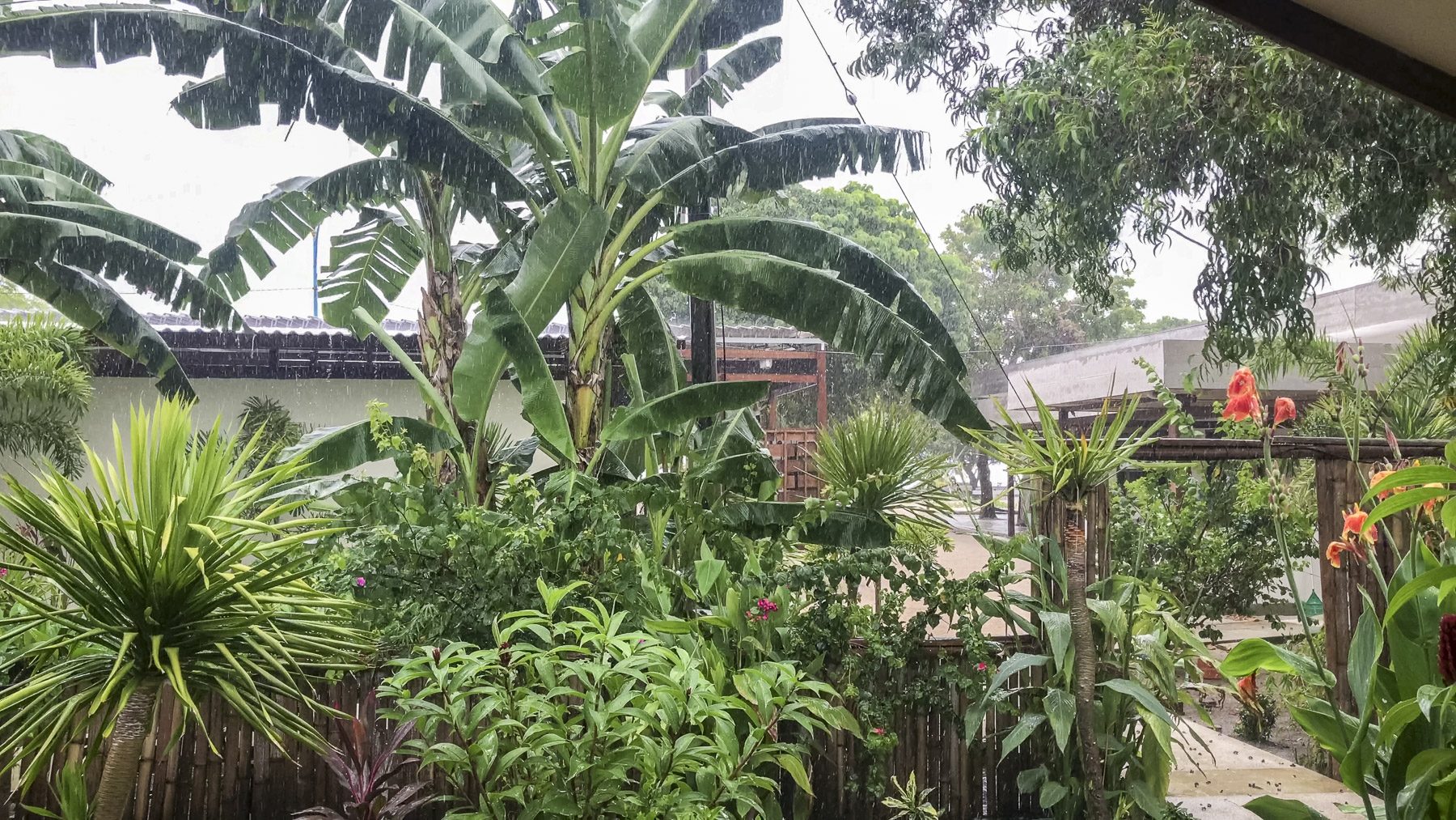 Gili-vlcsnap-2017-04-28-20h05m36s101-b-kl