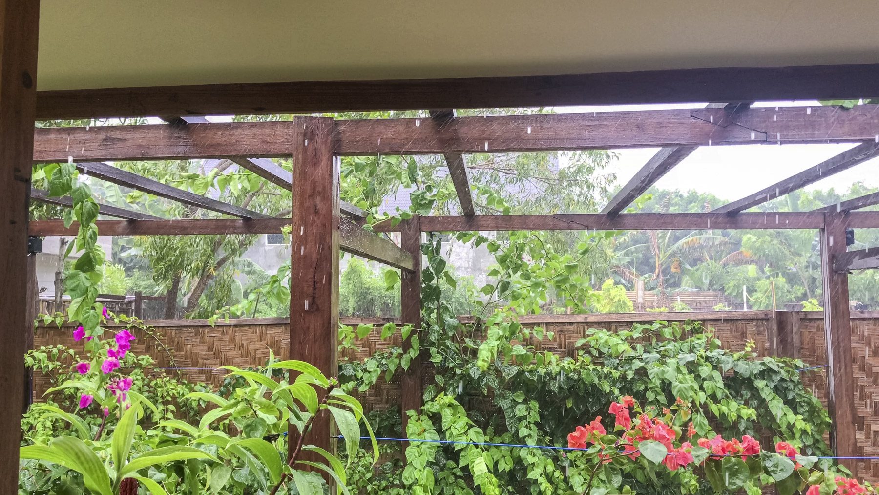 Gili-vlcsnap-2017-04-28-20h05m51s14-b-kl