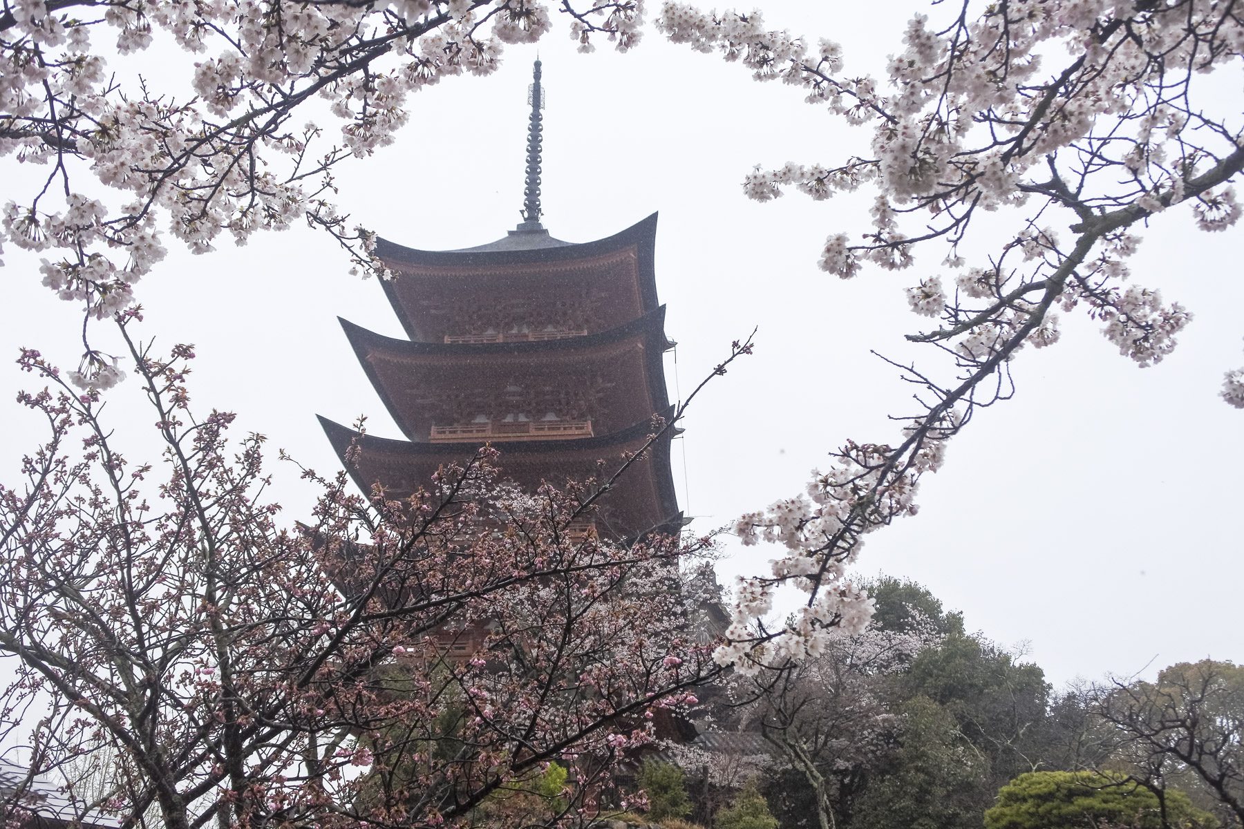 Hiroshima-DSC_6630-b-kl